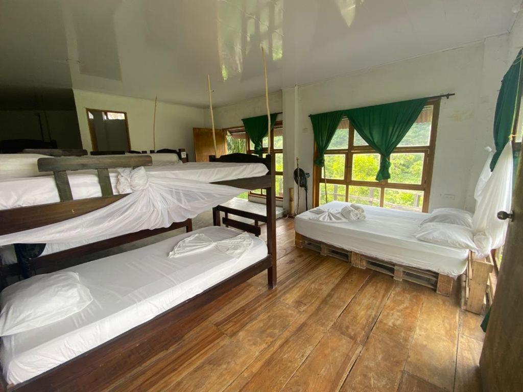 Hostal Mama Tayrona Calabazo  Buitenkant foto