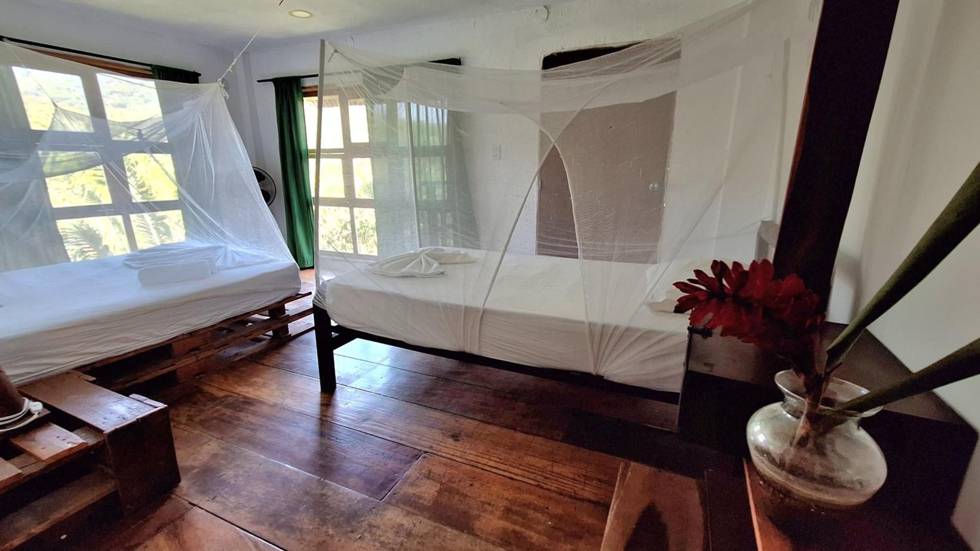 Hostal Mama Tayrona Calabazo  Buitenkant foto