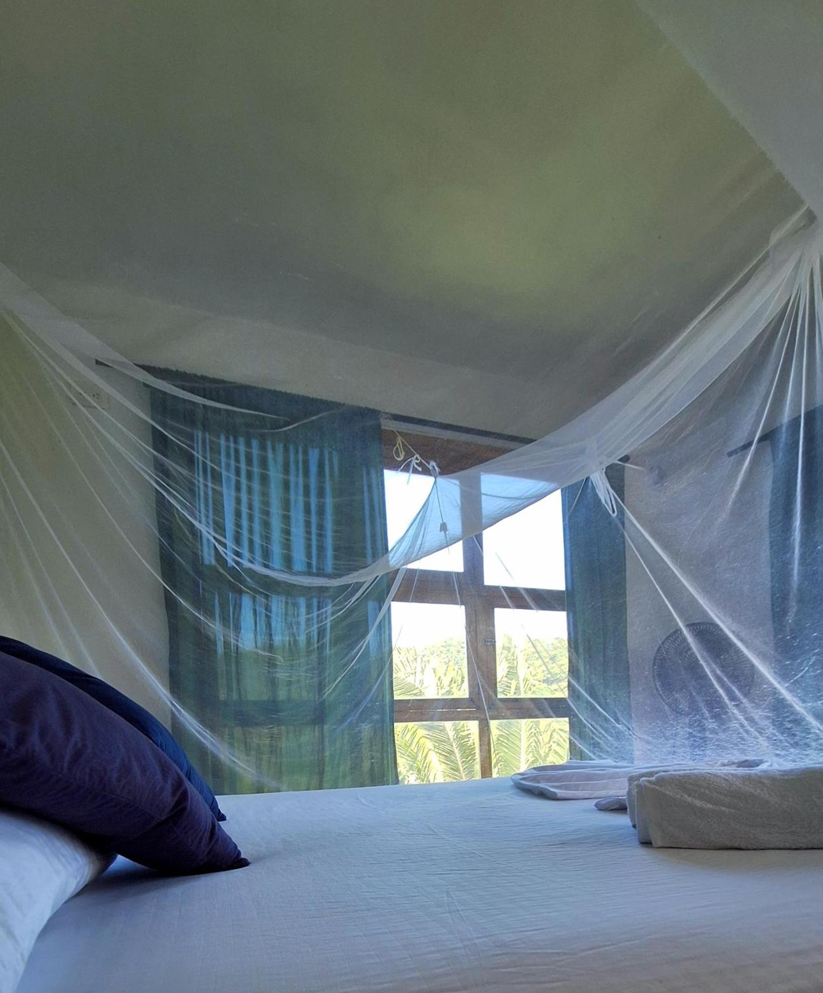 Hostal Mama Tayrona Calabazo  Buitenkant foto