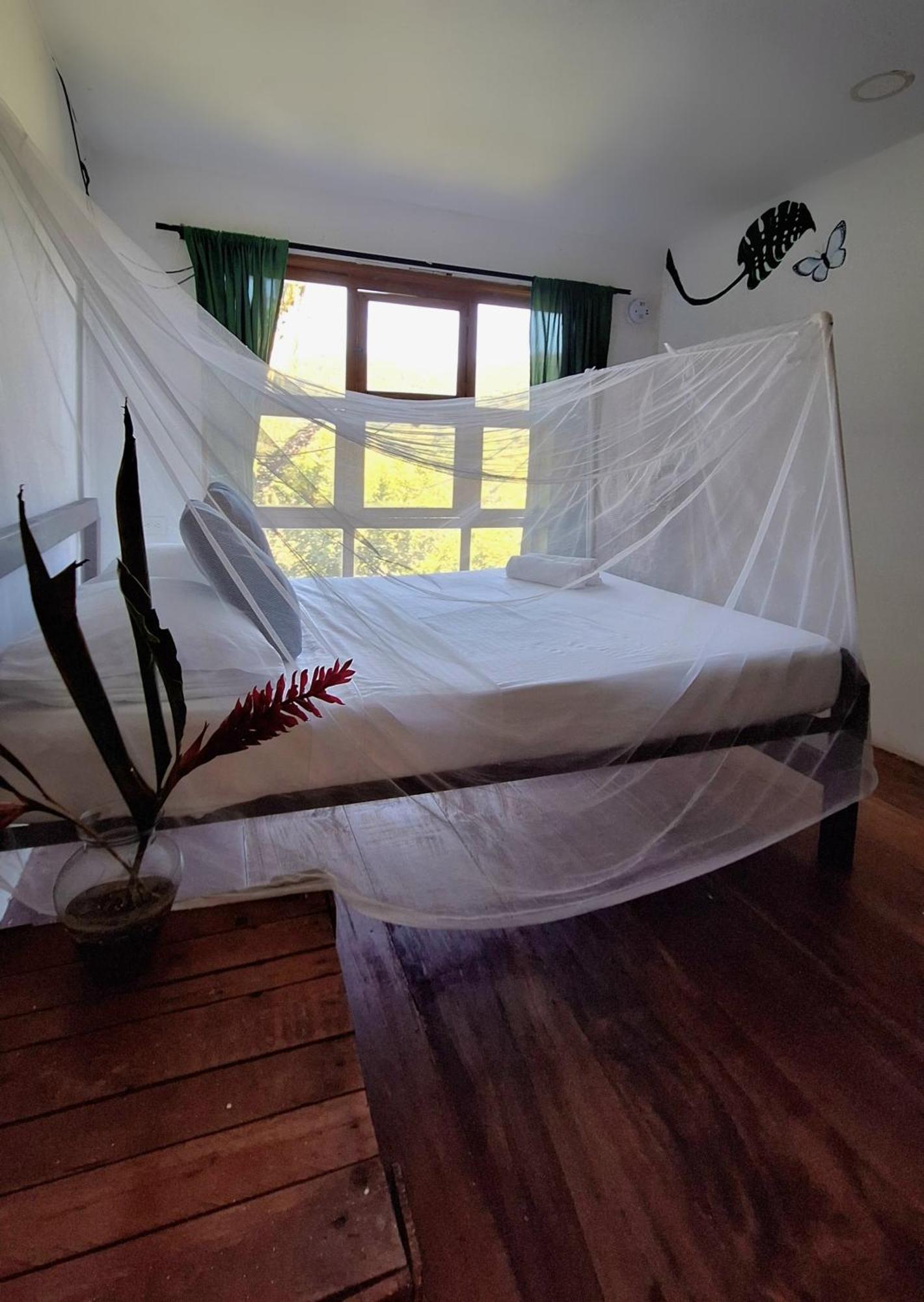 Hostal Mama Tayrona Calabazo  Buitenkant foto