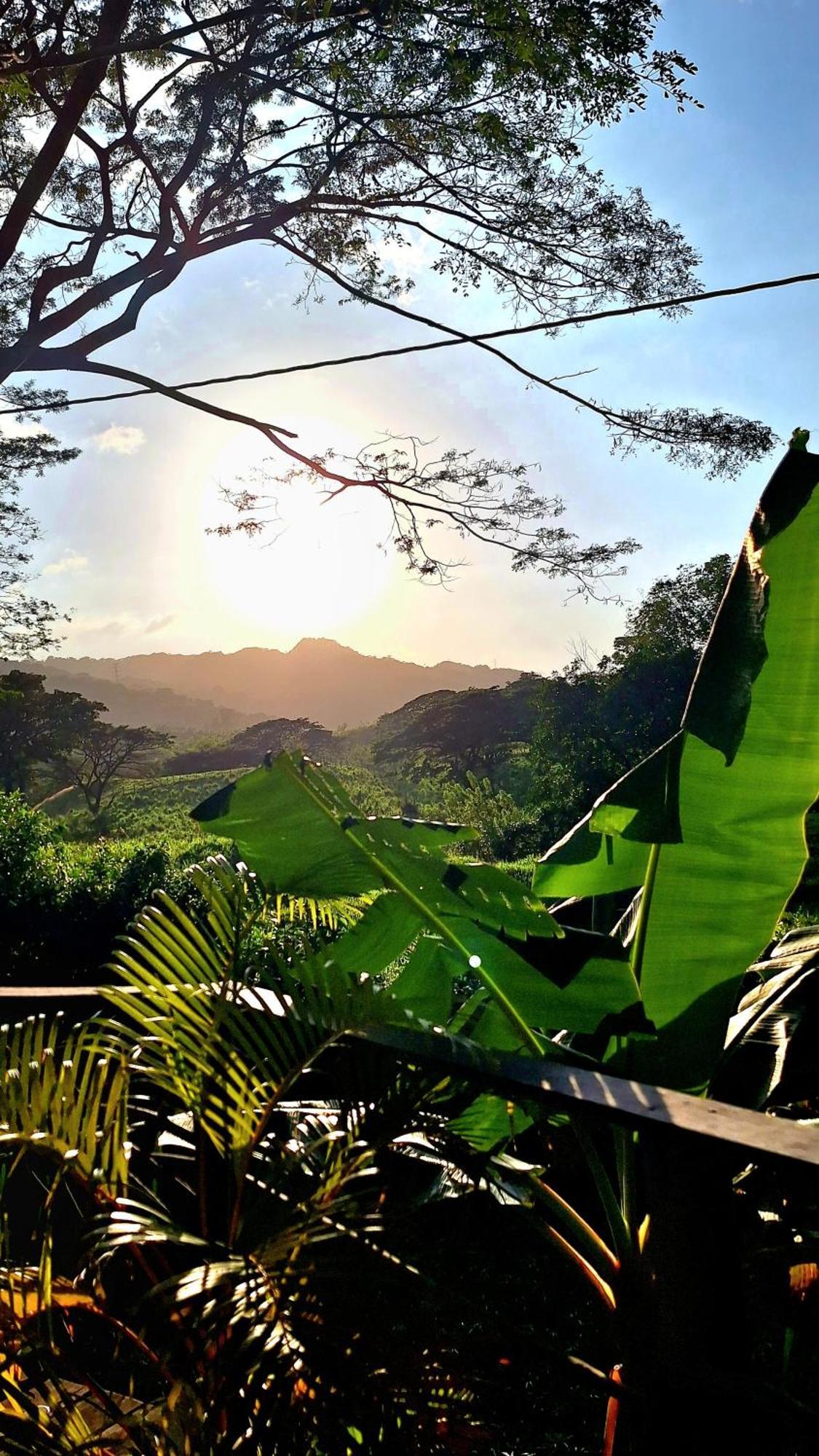 Hostal Mama Tayrona Calabazo  Buitenkant foto