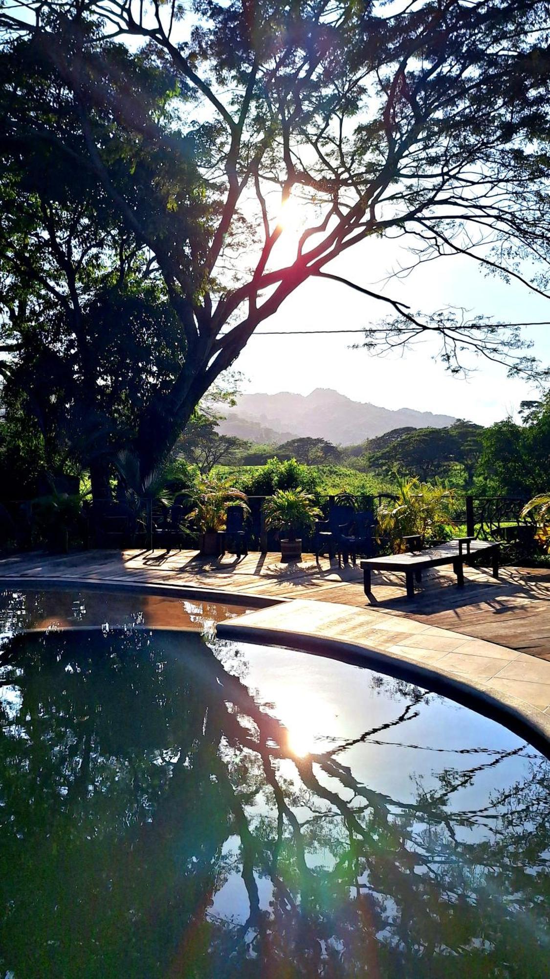 Hostal Mama Tayrona Calabazo  Buitenkant foto