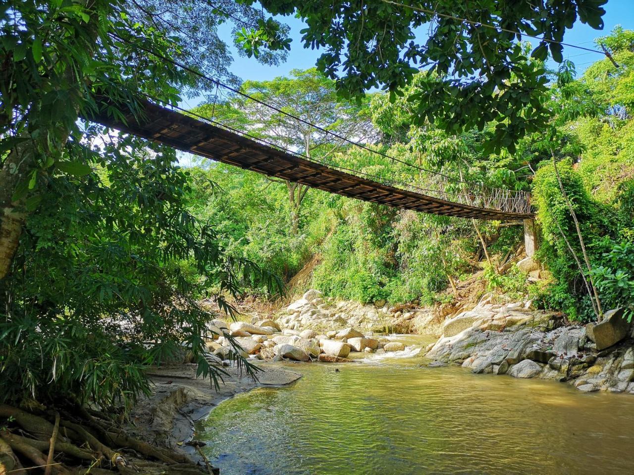 Hostal Mama Tayrona Calabazo  Buitenkant foto