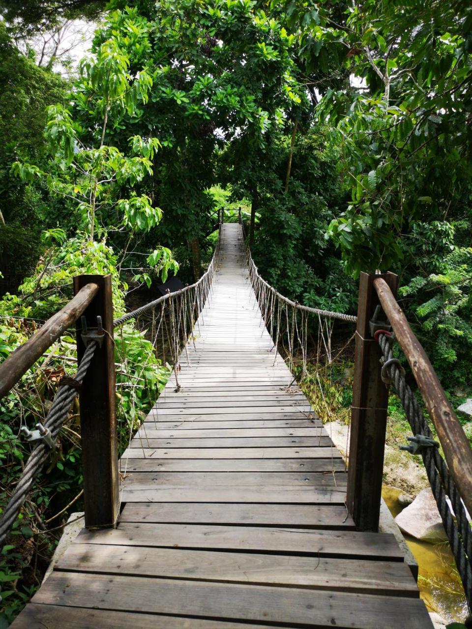 Hostal Mama Tayrona Calabazo  Buitenkant foto