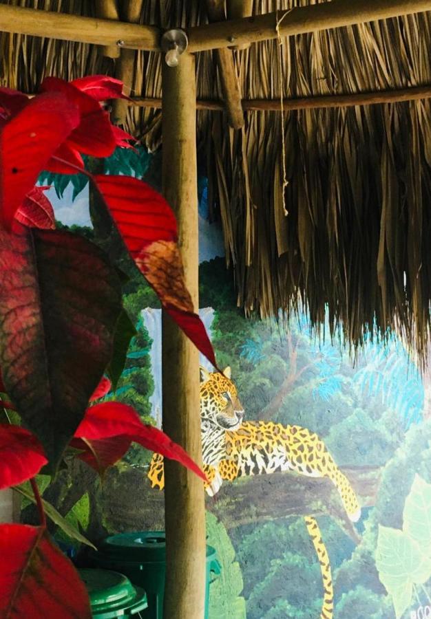 Hostal Mama Tayrona Calabazo  Buitenkant foto