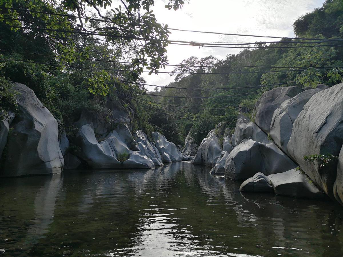 Hostal Mama Tayrona Calabazo  Buitenkant foto