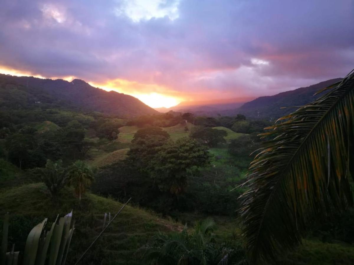 Hostal Mama Tayrona Calabazo  Buitenkant foto